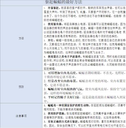 蝙蝠怎么消灭最好办法