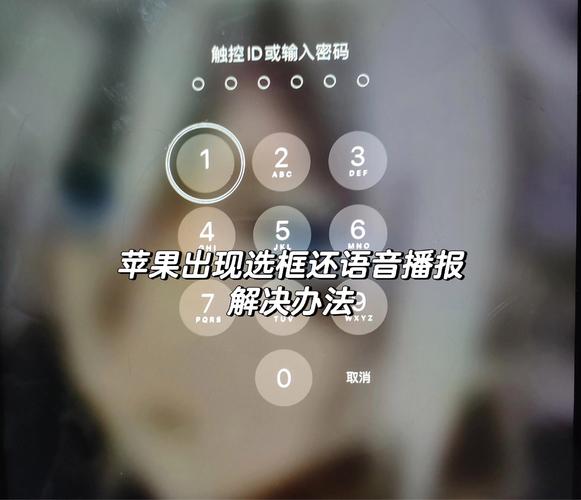 苹果有框框还有语音怎么去掉