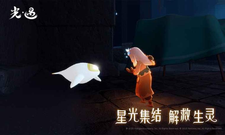oppo光遇下载渠道服截图2