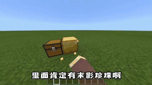 我的世界末影碎片截图3