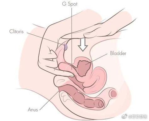 里面是空的找不到G点