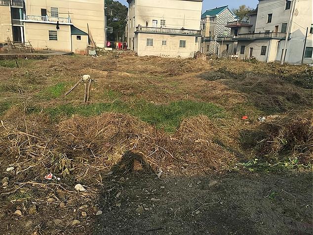 家有空地做什么项目呢