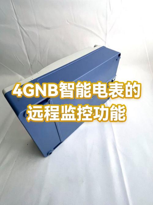 电表有远程监控功能吗
