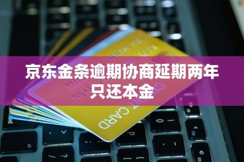 京东金条怎么协商延期还款截图2