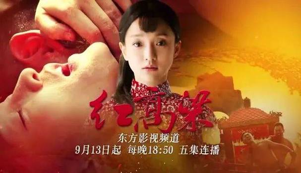 红高粱电视直播