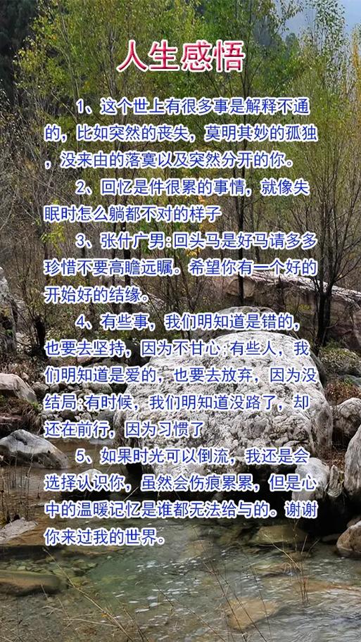 感慨一下自己的人生
