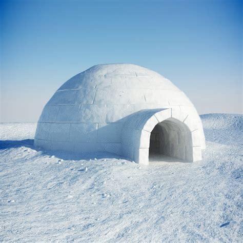igloo中文