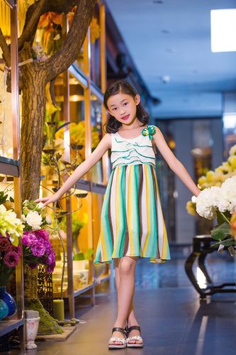 吾有小女初长成