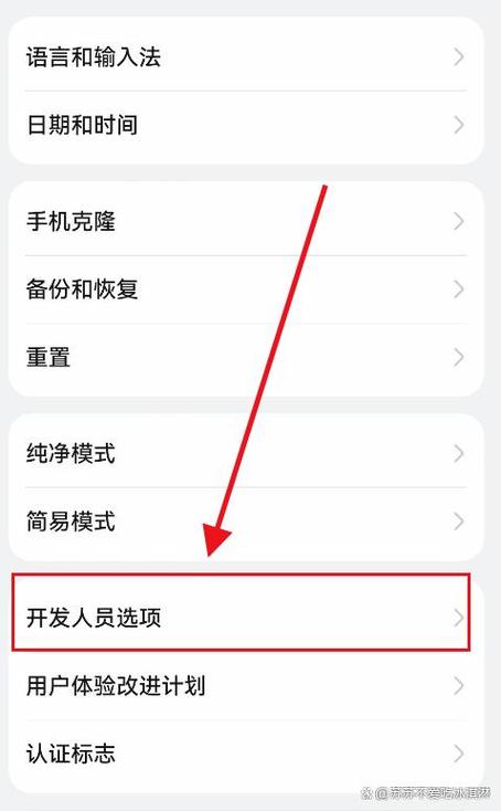 华为开启开发者选项在哪