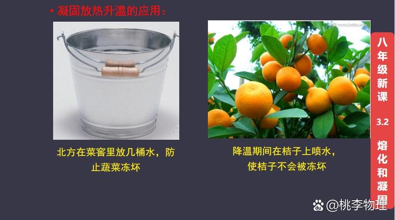 桔子可以喷水保鲜吗截图2