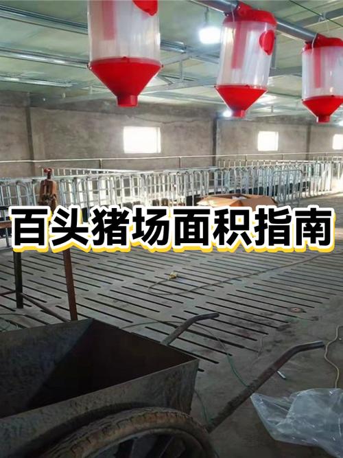 100头猪舍建设费用
