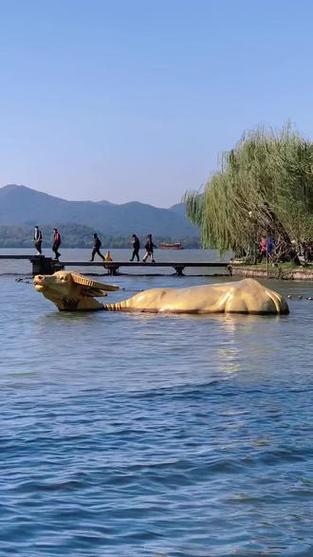 杭州西湖水牛位置