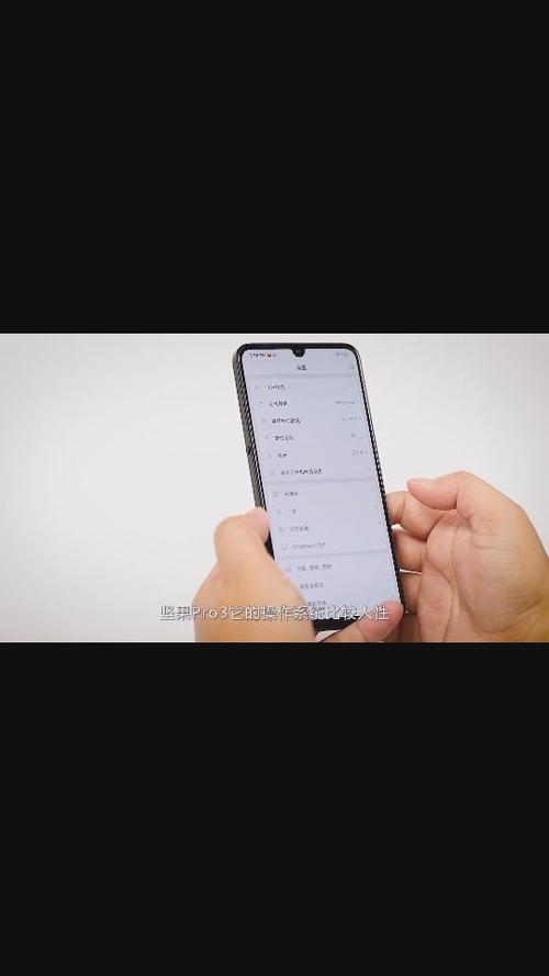 坚果pro3怎么添加插件