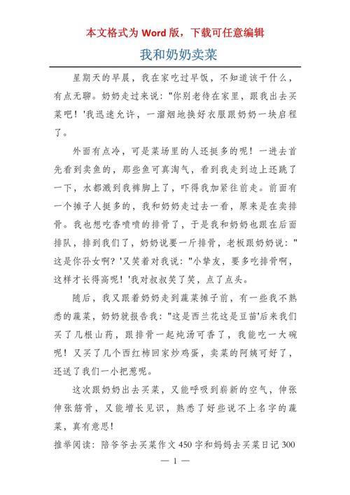 陪奶奶买菜作文