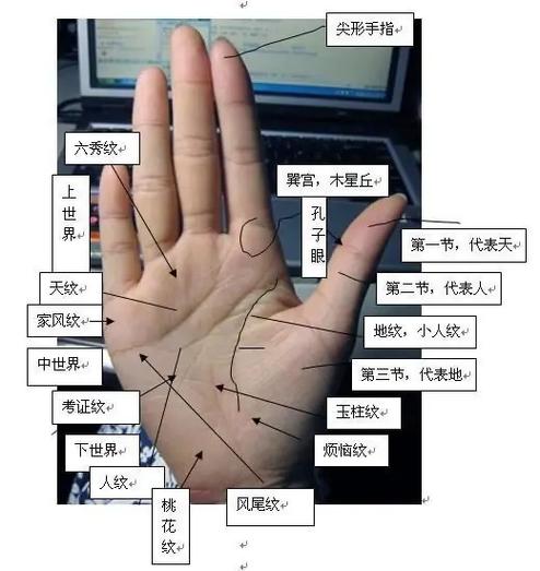 手掌纹都代表什么