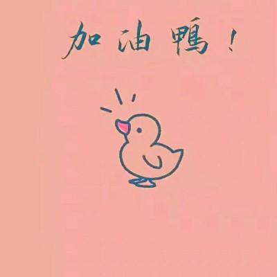 今天也要加油鸭头像