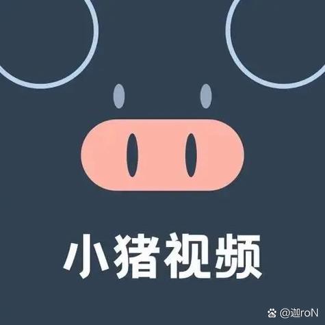 类似小猪视频的软件