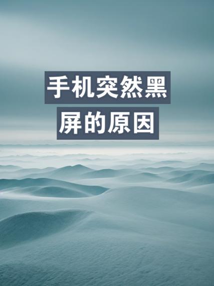 14pro为什么会突然黑屏
