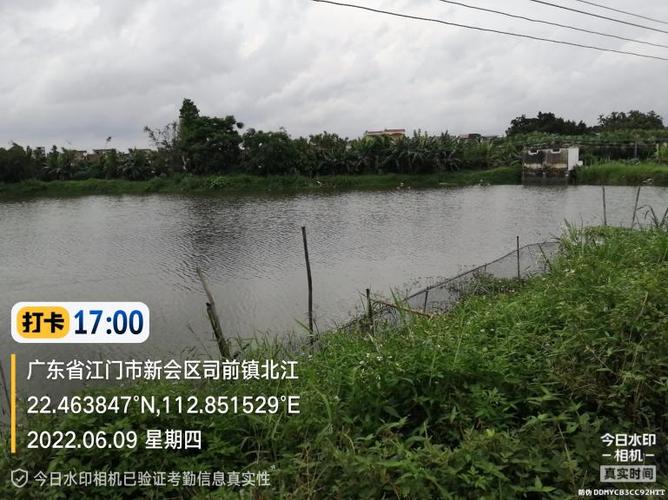 鱼塘出租招标公告