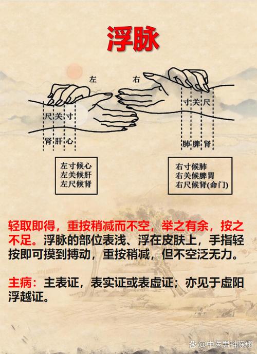 中医脉搏如何看脉象