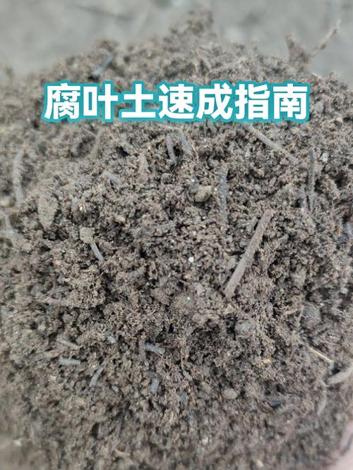 矿物菌种套装矿石图片