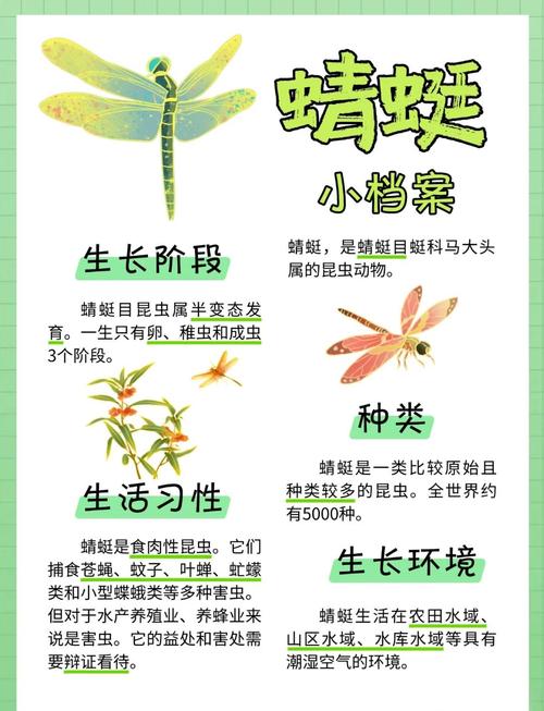 绿蜻蜓学生密码