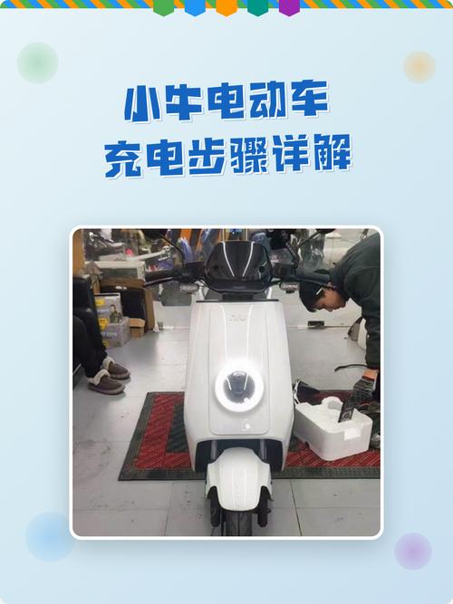 小牛电池正确充电