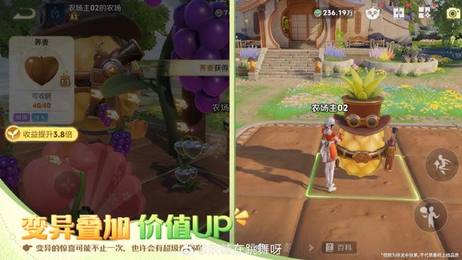 为什么多多农场普通种子要拼单获得