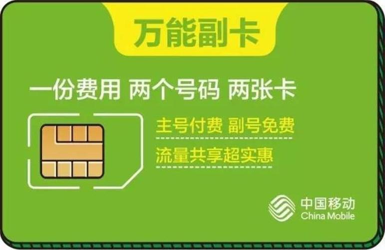 流量副卡截图2