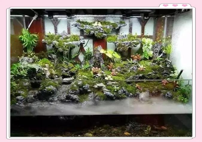 水草缸悬浮岛