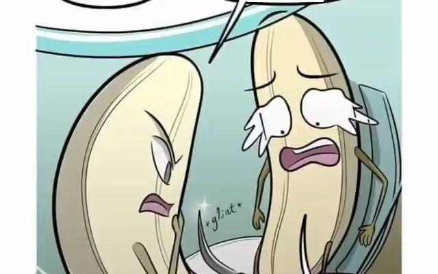 蕉蕉的奇妙冒险