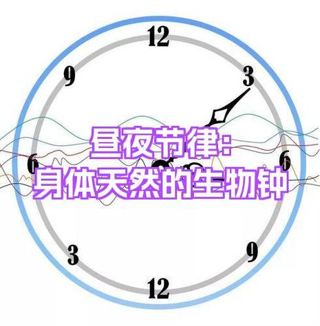 生物钟查询在线测试