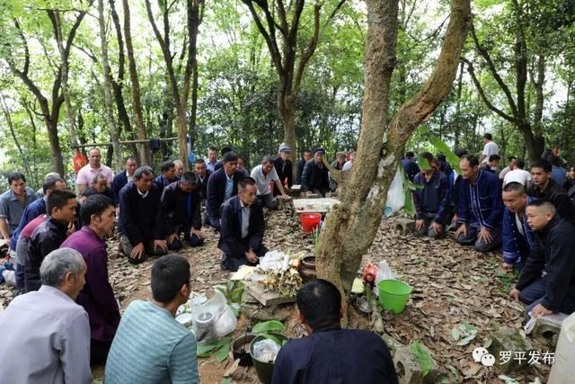 获得山神传承回家种地
