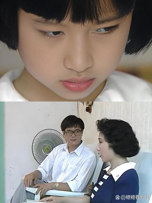 金粉红蝴蝶电视剧