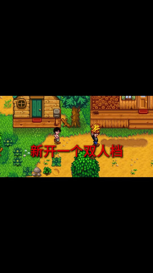 星露谷物语可以双人玩吗