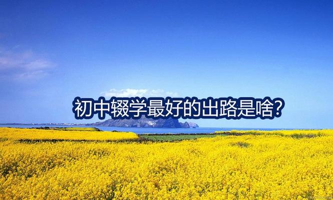 初中辍学最好的出路