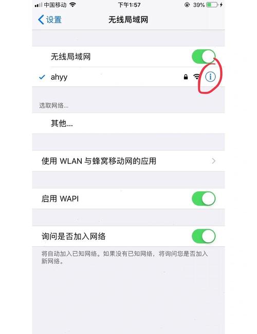 苹果手机怎么没有忽略此网络