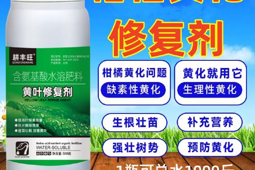 果树黄化病用什么药治疗
