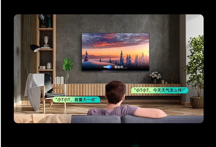 旧电视能用助手吗截图2