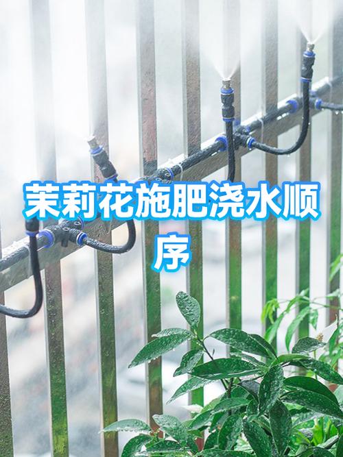 茉莉花施肥方法