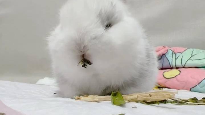 恐れがある