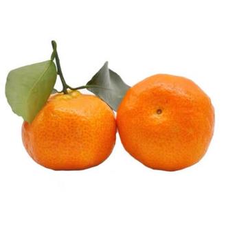 桔子做饭最近视频
