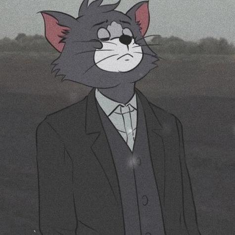 汤姆猫头像图片