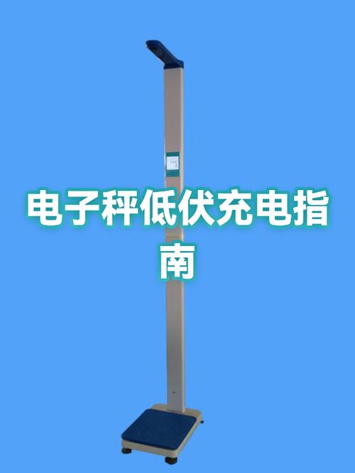 电子秤充电充多长时间截图3