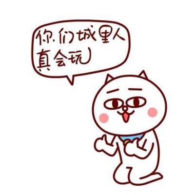 别人说真会玩,怎么回答