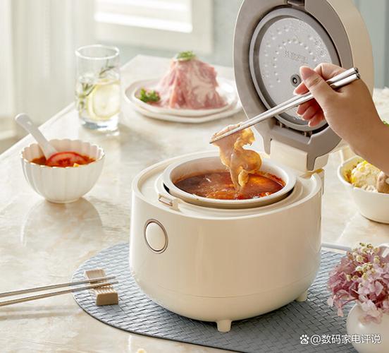 本釜电饭煲和球釜哪个好