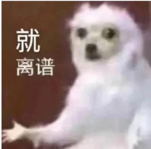 dnf突然fps低的离谱