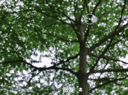 苹果7拍照一半模糊一半清晰