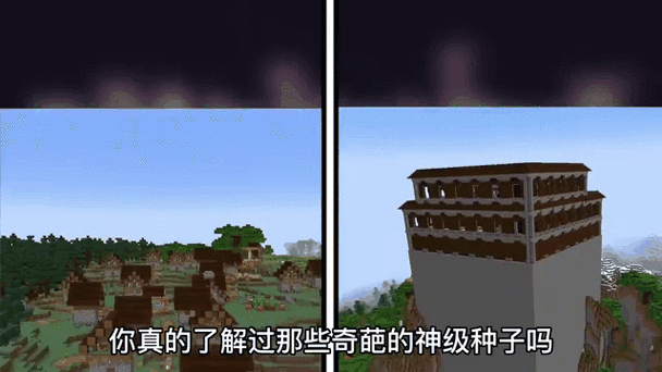我的世界开局很好的种子