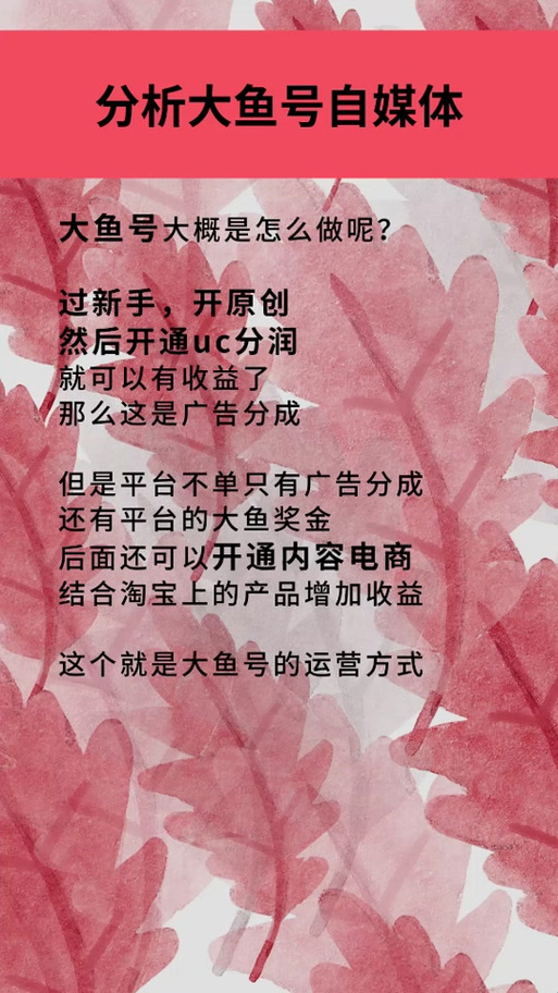 大鱼号收益图片